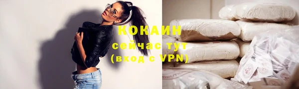 дживик Козельск
