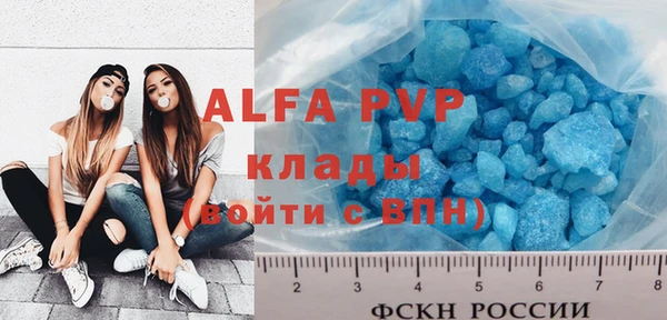 дживик Козельск