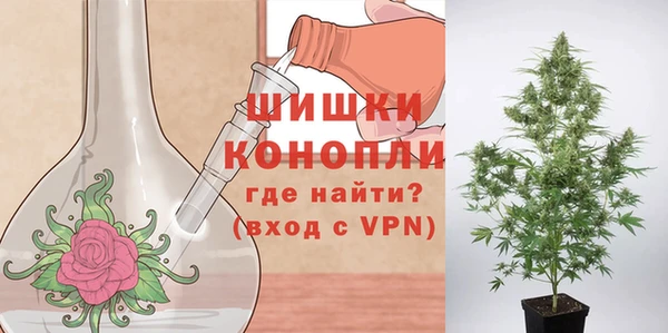 дживик Козельск