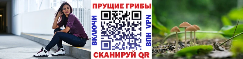 Купить закладки  Скопин  Псилоцибиновые грибы Psilocybe 